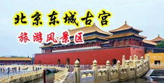 乌克兰美女阴户中国北京-东城古宫旅游风景区
